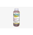 CLORPI 48 HUAGRO X 1 LITRO