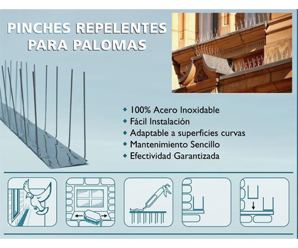 MODULO PALOMEXTER 50 cm